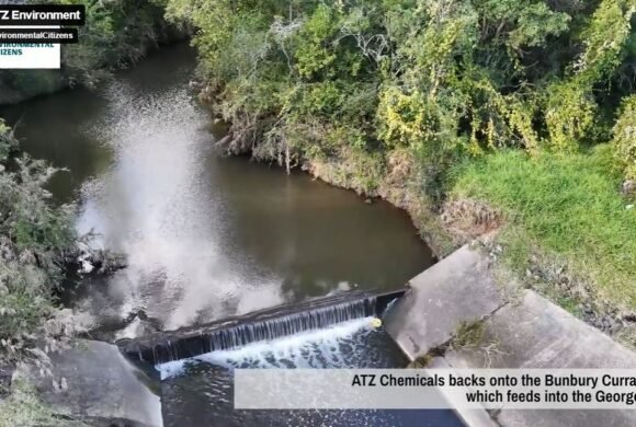 Bunbury Curran Creek, Ingleburn, Sydney, NSW