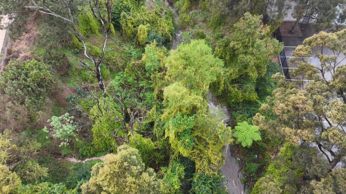 Cattai Creek, Castle Hill, Sydney, NSW